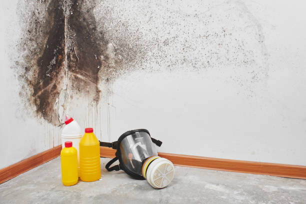 Wilson, OK Mold Remediation Company