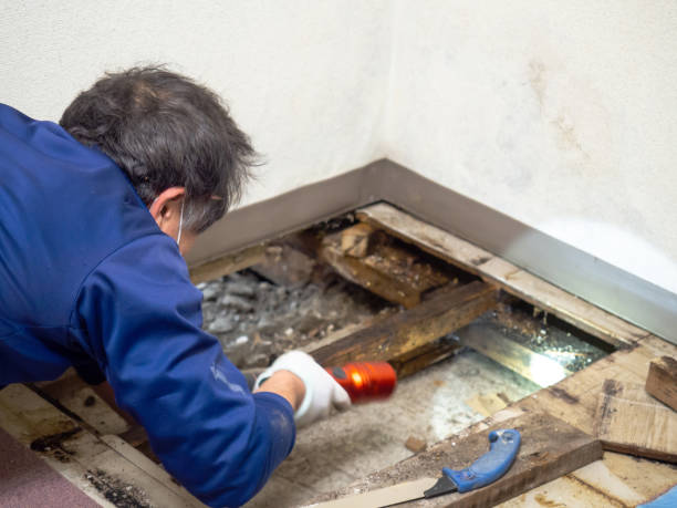 Best Post-Remediation Services in Wilson, OK